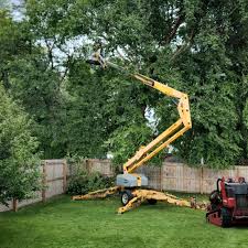 Best Tree Preservation Services  in Butler, AL