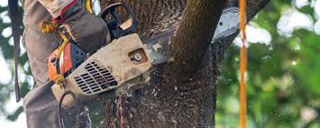 Best Pest Control for Lawns  in Butler, AL