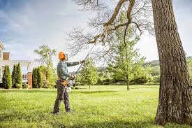 Best Leaf Removal  in Butler, AL