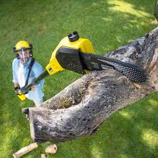 Best Commercial Tree Services  in Butler, AL