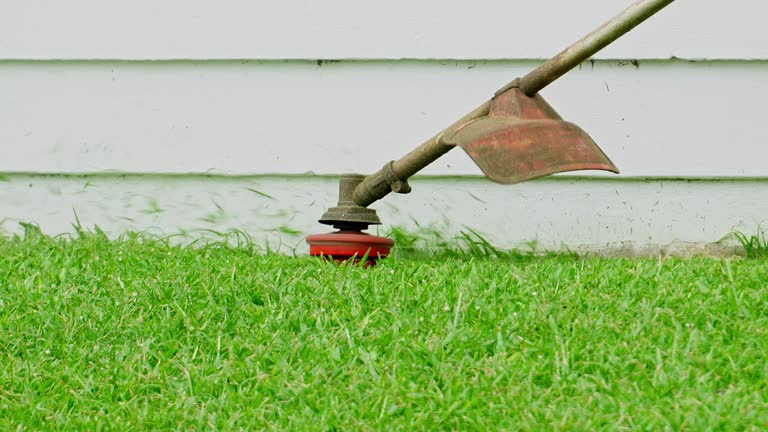 Best Grass Overseeding  in Butler, AL