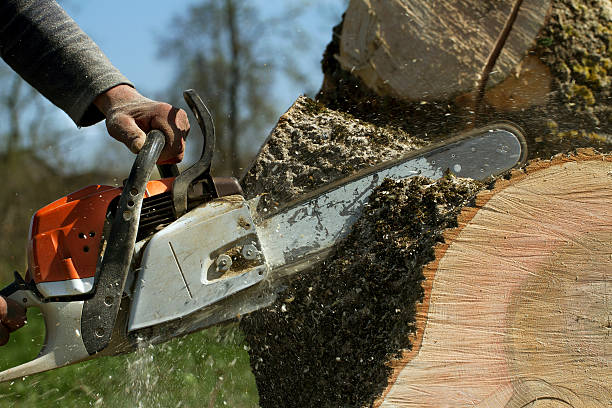 Best Lawn Pest Prevention  in Butler, AL